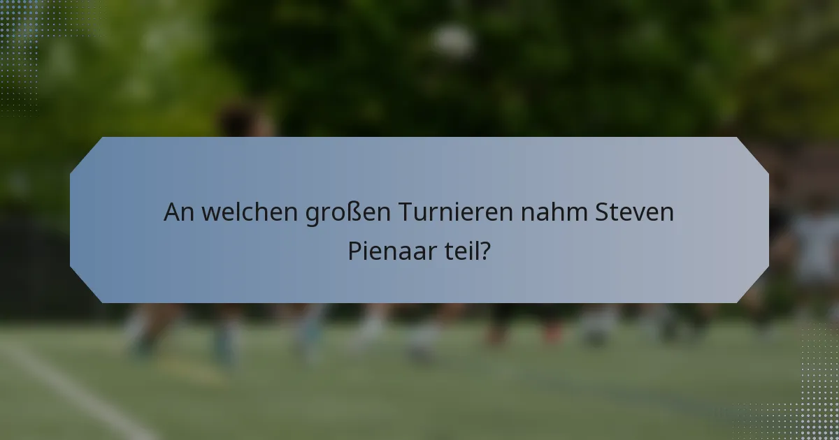 An welchen großen Turnieren nahm Steven Pienaar teil?