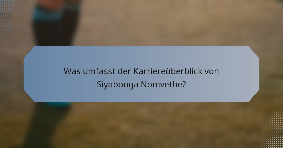 Was umfasst der Karriereüberblick von Siyabonga Nomvethe?