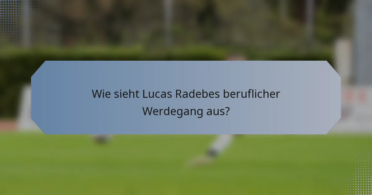 Wie sieht Lucas Radebes beruflicher Werdegang aus?